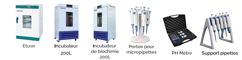 tempsnip-removebg-preview