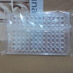 Culture Plate 96 Hole